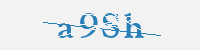 보안문자